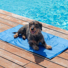 Cargar imagen en el visor de la galería, Cama refrigerante para perros