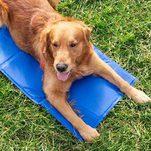 Cargar imagen en el visor de la galería, Cama refrigerante para perros